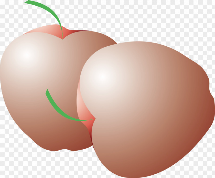 Pear Vector Material Apple Fruit PNG