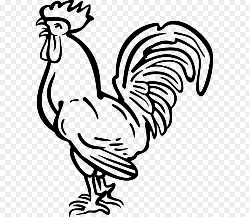 Rooster Wyandotte Chicken Drawing Tattoo Clip Art PNG