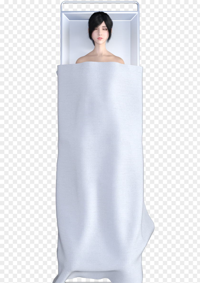 Satin Shoulder Gown PNG