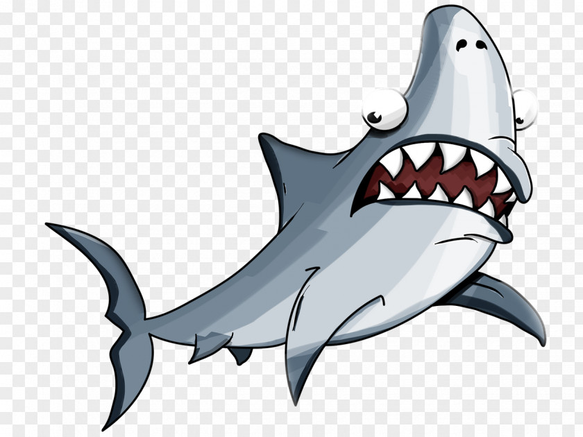 Sharks Shark Facts Great White Tiger Whale PNG