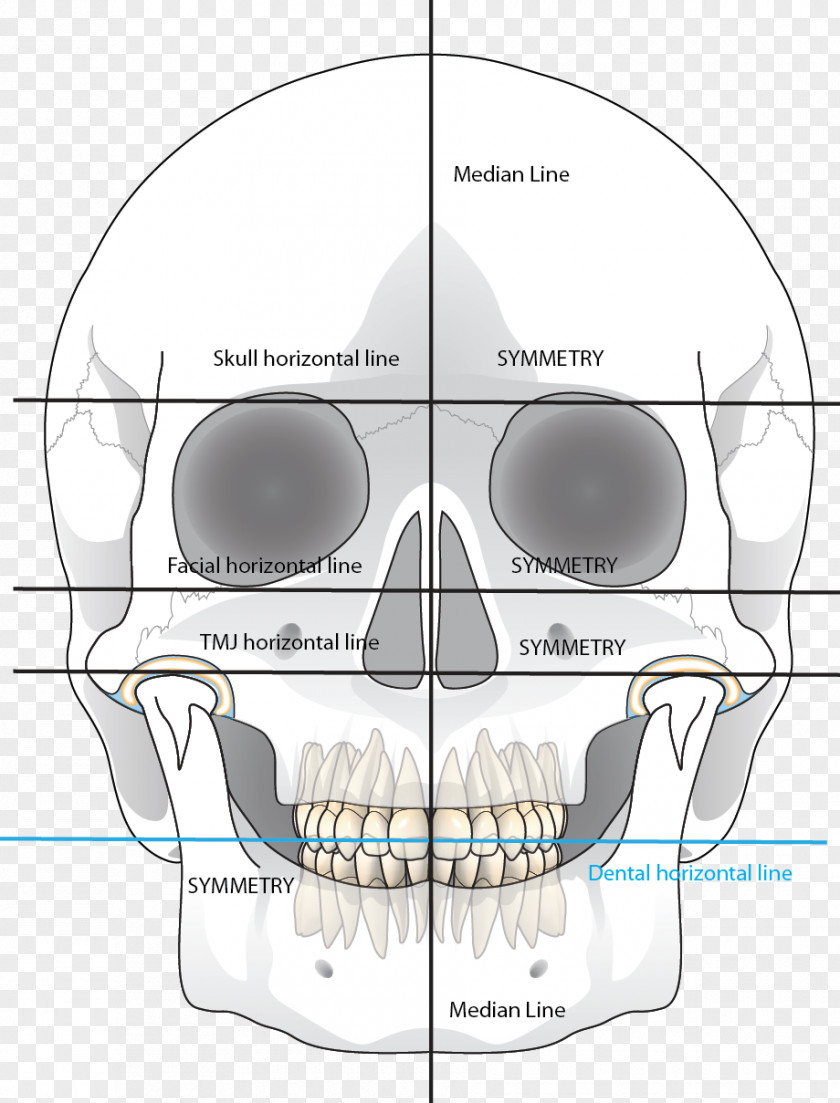 Technology Bone Jaw Mouth PNG