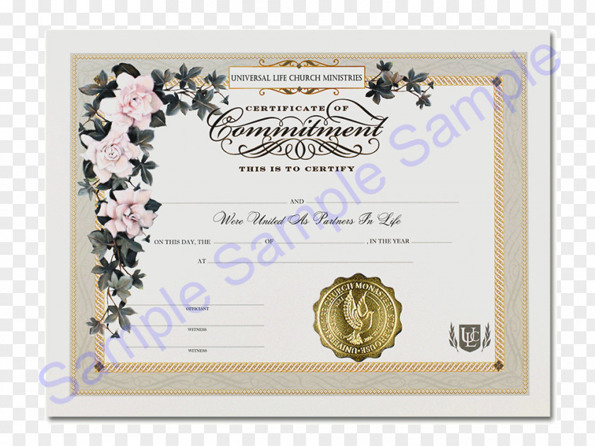 Commitment Academic Certificate Degree Diploma Wedding Invitation PNG
