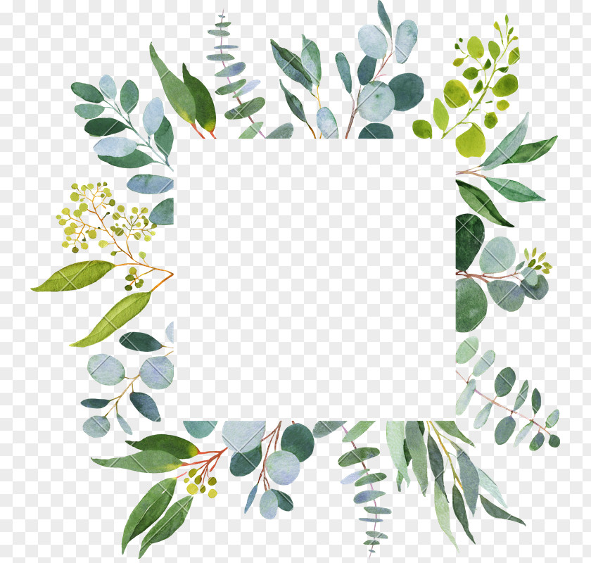 Eucalyptus Watercolor Svg Clip Art Stock Illustration Wedding Vector Graphics PNG