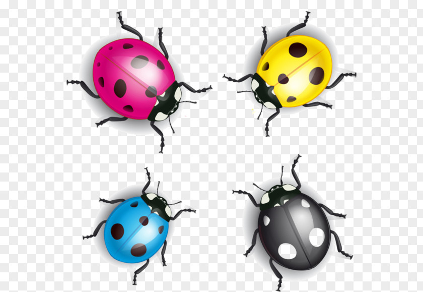 Four-color Insects Coccinella Septempunctata Cartoon Ladybird Illustration PNG
