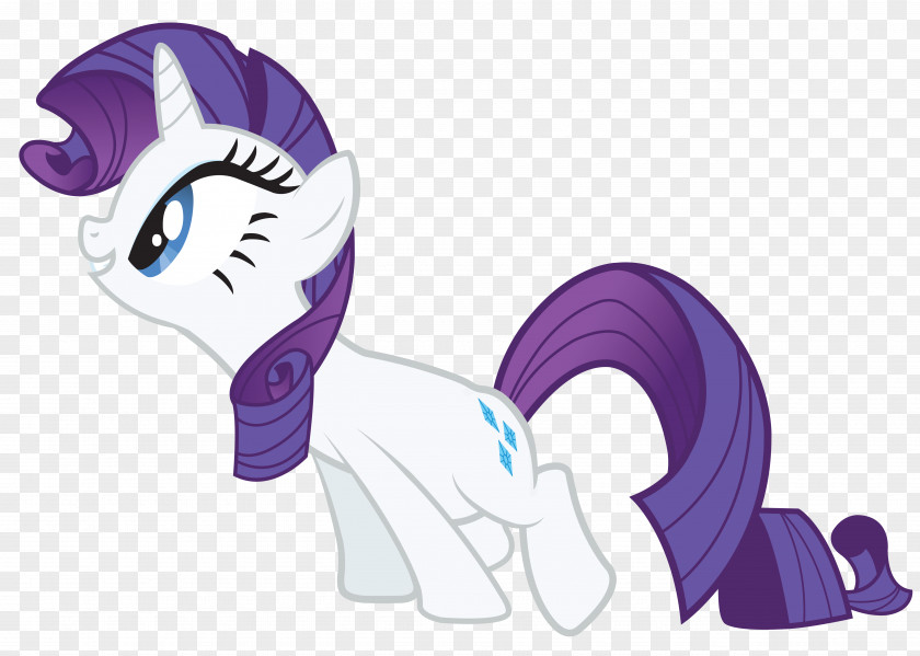 Pony Party Rarity Rainbow Dash Pinkie Pie Twilight Sparkle PNG