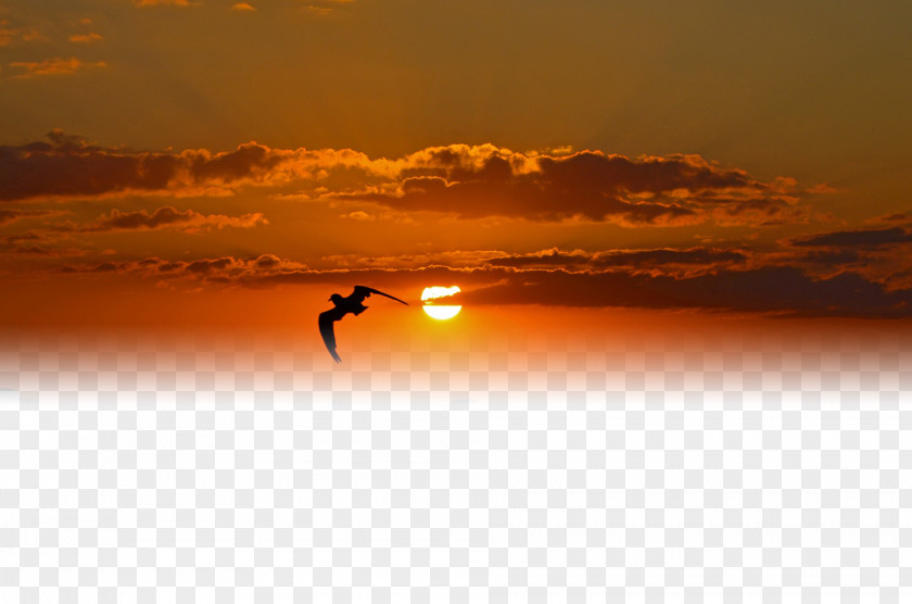 Sunset And Geese PNG and geese clipart PNG