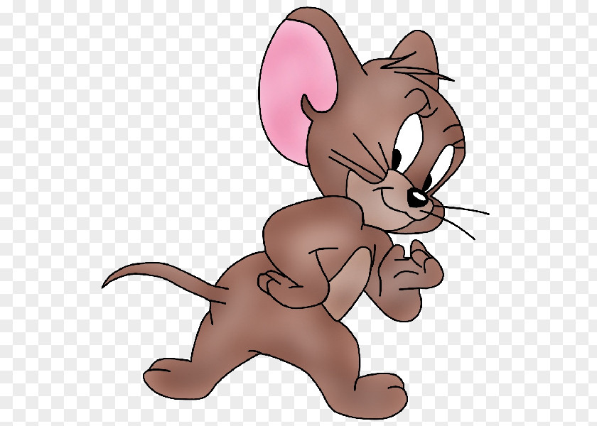 Tom And Jerry Cat Mouse Cartoon Drawing PNG