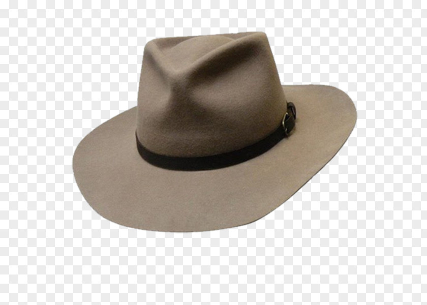 Wooly Hat Felt Fedora Hutkrempe Wool PNG