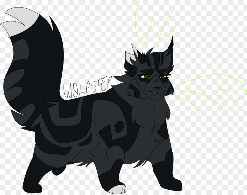 Cat Black Whiskers Warriors Dog PNG