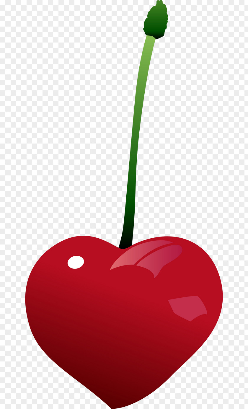 Cherry Photography Clip Art PNG