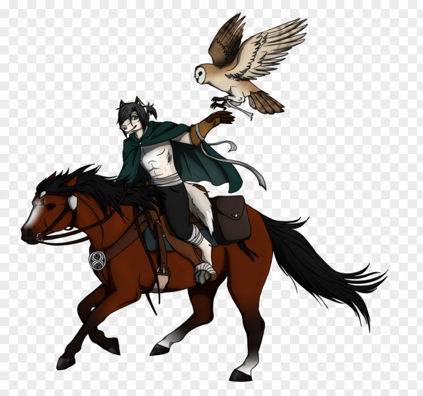 Leap Of Faith Mustang Stallion Illustration Rein Pack Animal PNG