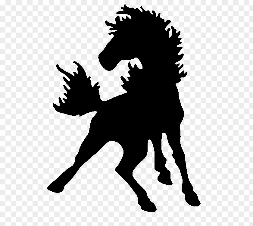 Mustang Stallion Manville High School Mane Equestrian PNG