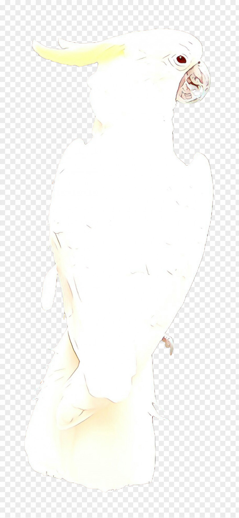 Neck Drawing Nose White PNG