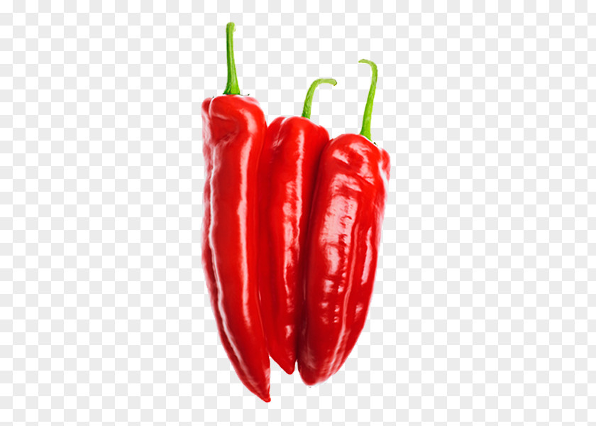 Pepper Pictures Habanero Serrano Jalapexf1o Bell Birds Eye Chili PNG