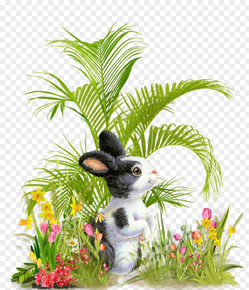 Rabbits And Hares Palm Tree Background PNG