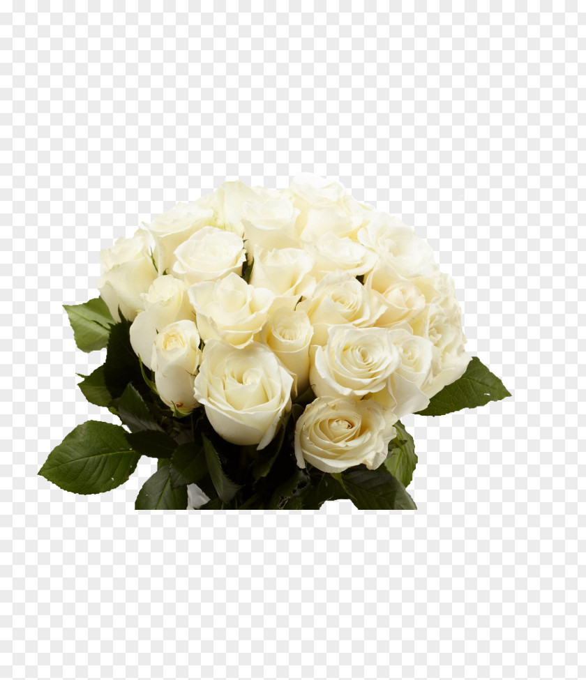 Rose Flower Bouquet Gift Desktop Wallpaper PNG