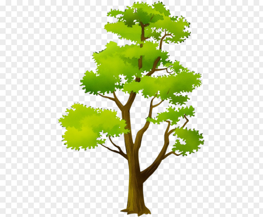 Arbor Day Plant Stem PNG