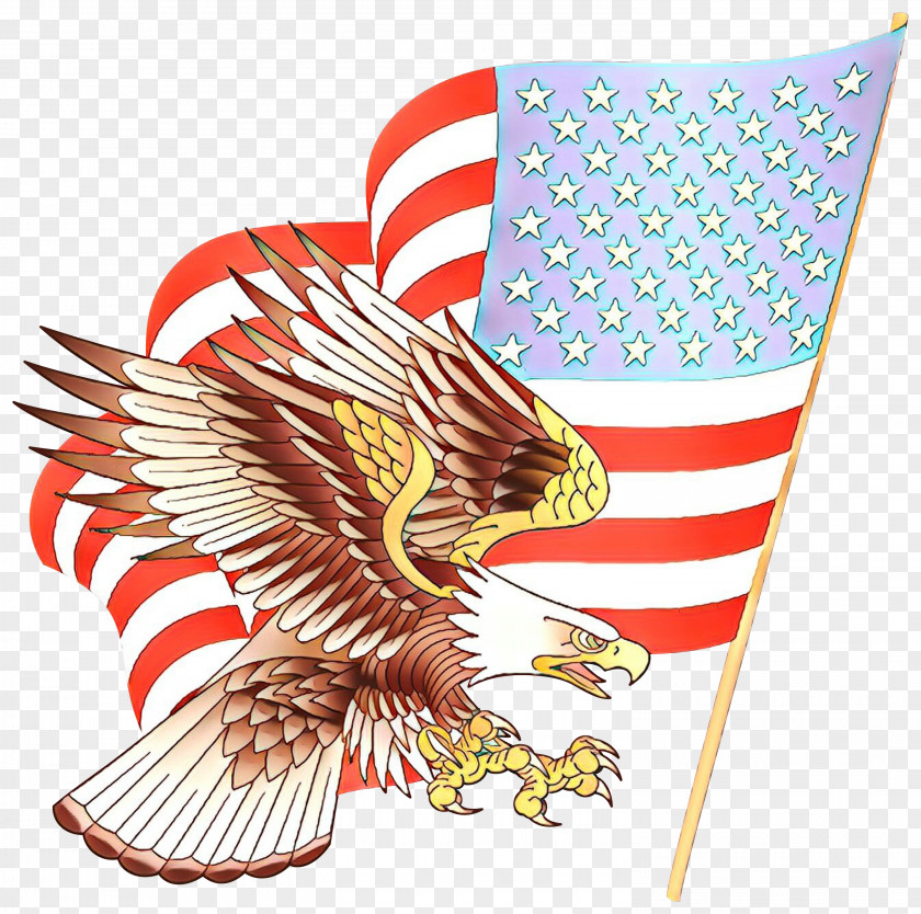 Bald Eagle Flag Of The United States Clip Art PNG