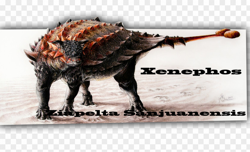 Dinosaur University Of Alberta Provincial Park Ziapelta Euoplocephalus Late Cretaceous PNG