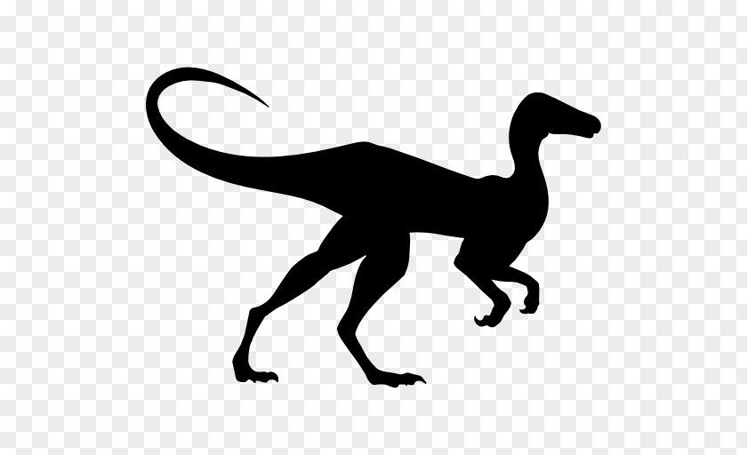Dinosaur Vector Compsognathus Brachiosaurus Gigantoraptor Diplodocus PNG