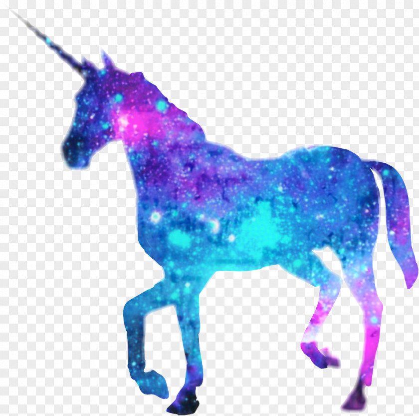 Mane Horse Unicorn Drawing PNG