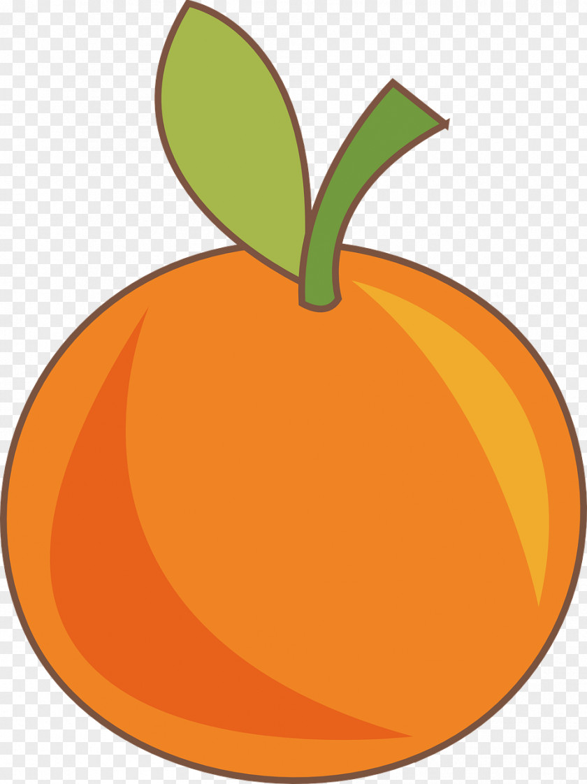 Orange Juice Clementine Fruit PNG