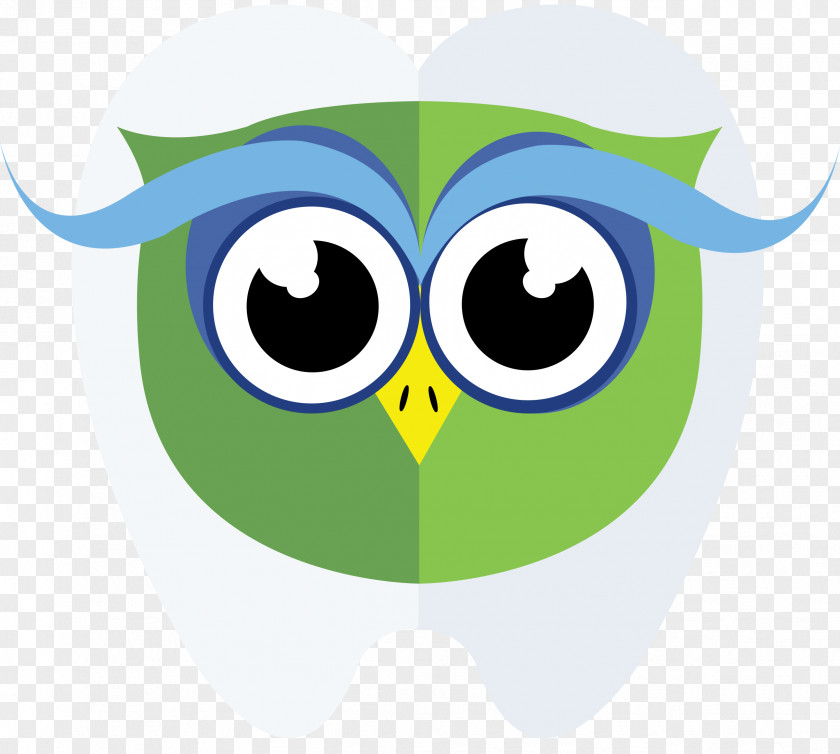 Owl Green Beak Clip Art PNG