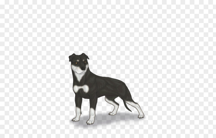 Pit Bull Dog Breed Snout PNG