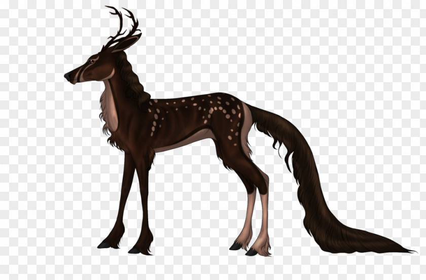 Reindeer Italian Greyhound Antelope Wildlife PNG