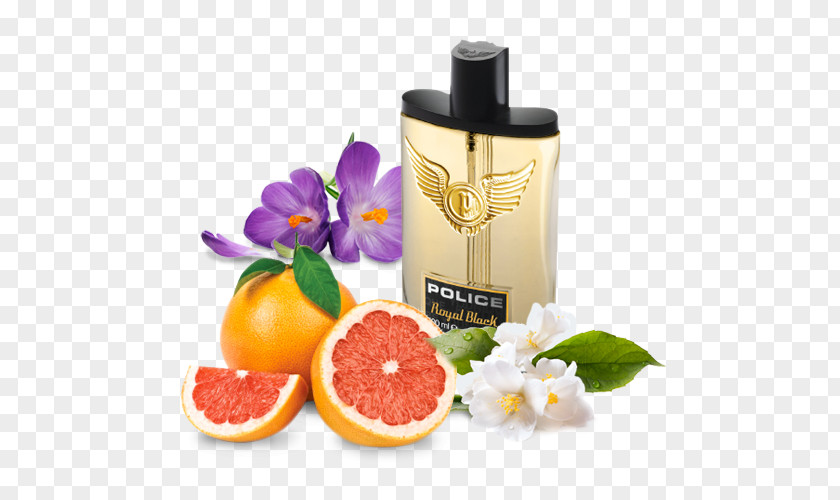Salvia Fresca Perfume Milliliter Bergamot Orange Hair Gel PNG