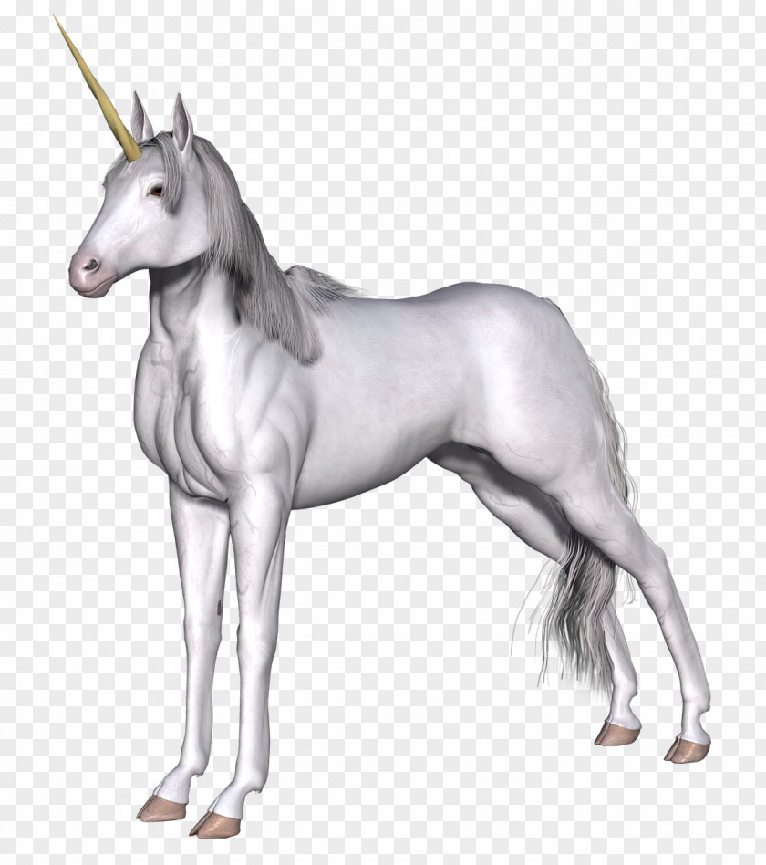 Unicorn Horse Legendary Creature Clip Art PNG