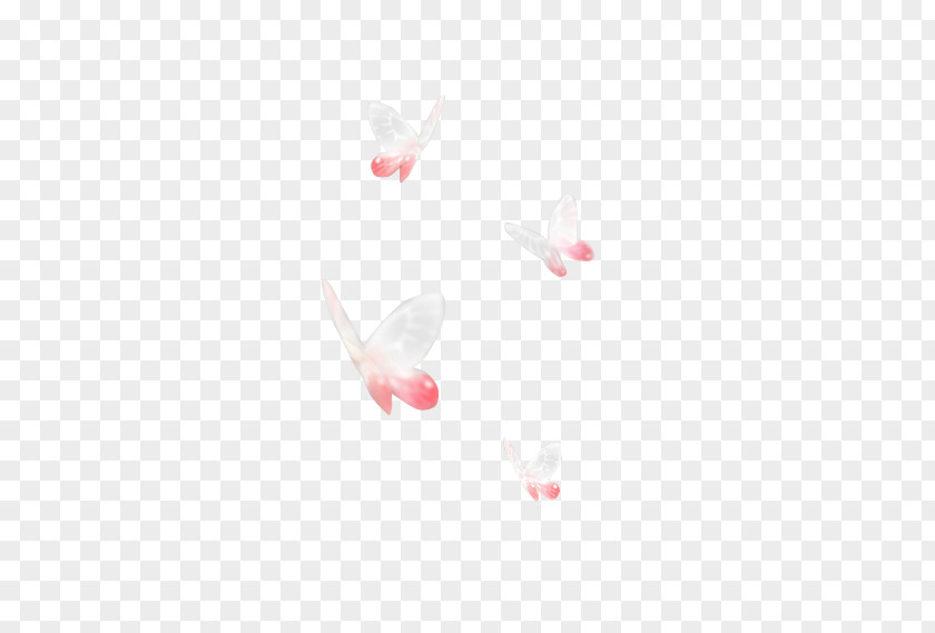 Butterfly White Pink Icon PNG