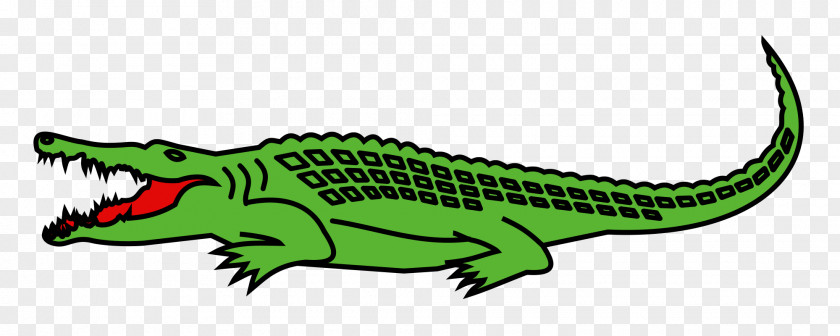 Crocodile Nile Alligator Mississippi Sandhill Crane National Wildlife Refuge PNG
