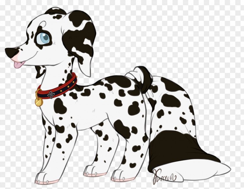 Dalmatians Dalmatian Dog Puppy Companion Canidae Breed PNG