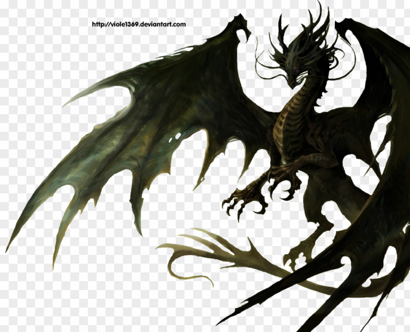 Dragon Drawing Wyvern Desktop Wallpaper PNG