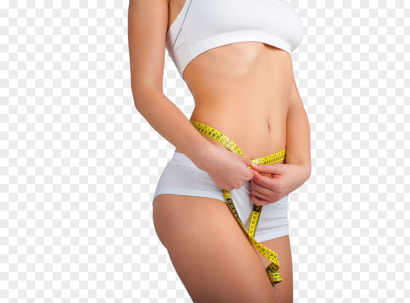 Health Adipose Tissue Cellulite Weight Loss Therapy PNG