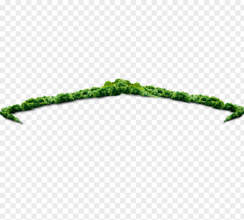 Jungle Tree Download Icon PNG