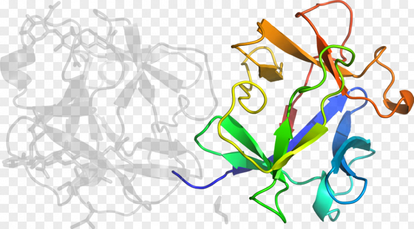 Momordica Charantia Line Art Plant Stem Graphic Design Clip PNG