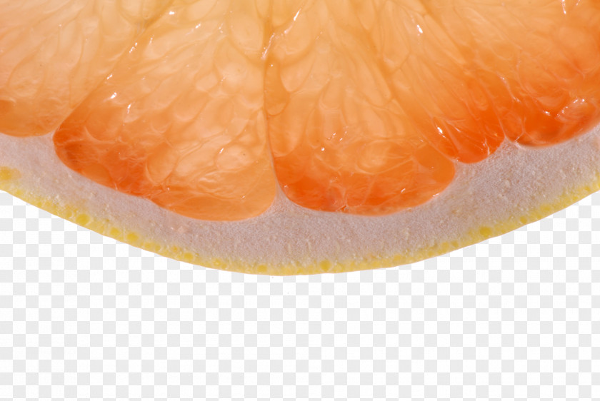 Orange Closeup Grapefruit Citron Citrus Myrtifolia Clementine Lemon PNG