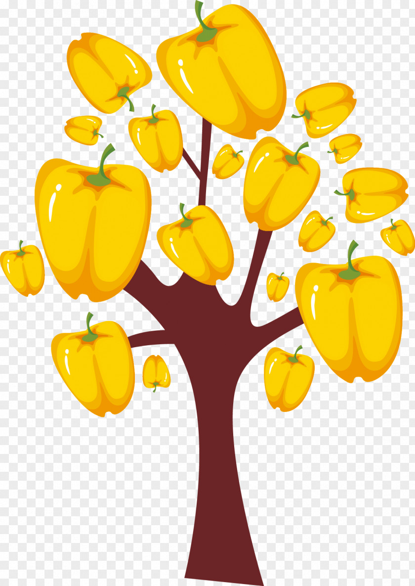 Persimmon Trees Grow Beautiful Vector Bell Pepper Habanero PNG