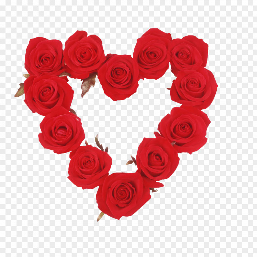 Shape Flower Rose Desktop Wallpaper Clip Art PNG