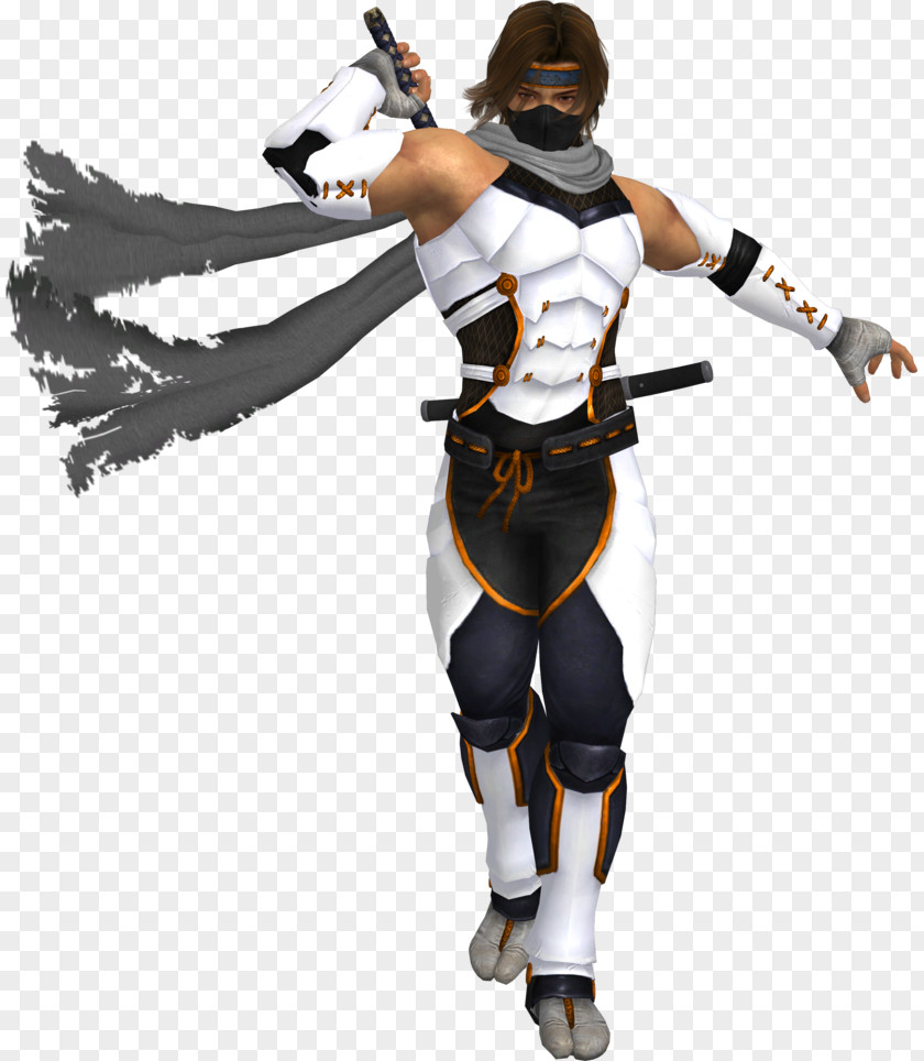 Color Mist Ryu Hayabusa Kasumi Ninja Gaiden 3 Dead Or Alive 5 PNG