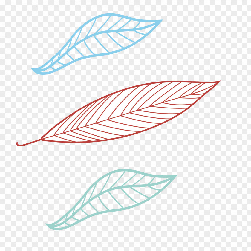 Colorful Decorative Leaves PNG