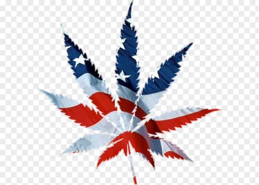 American Flag United States Medical Cannabis Hash, Marihuana & Hemp Museum PNG