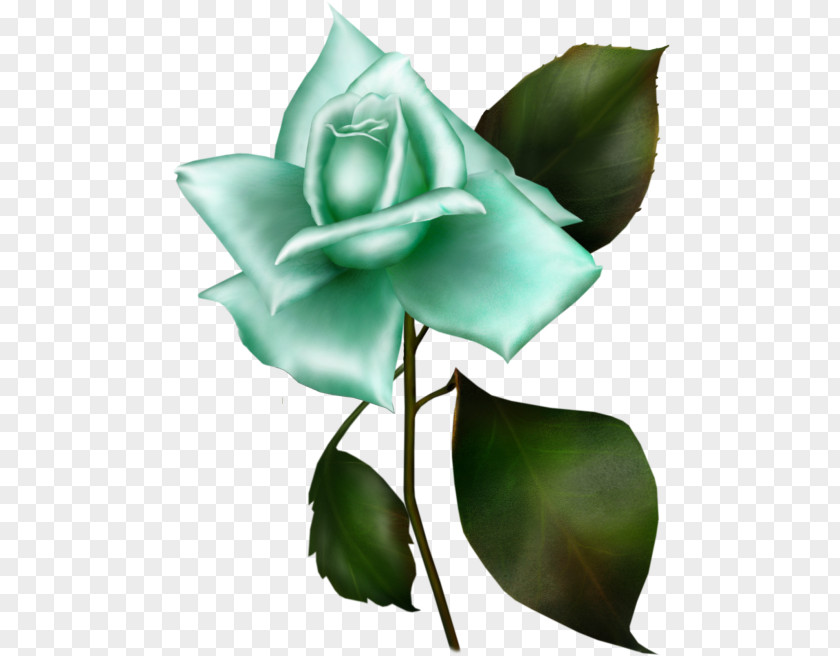 Blue Roses Clipart Garden Clip Art Gwen Tennyson 10 PNG