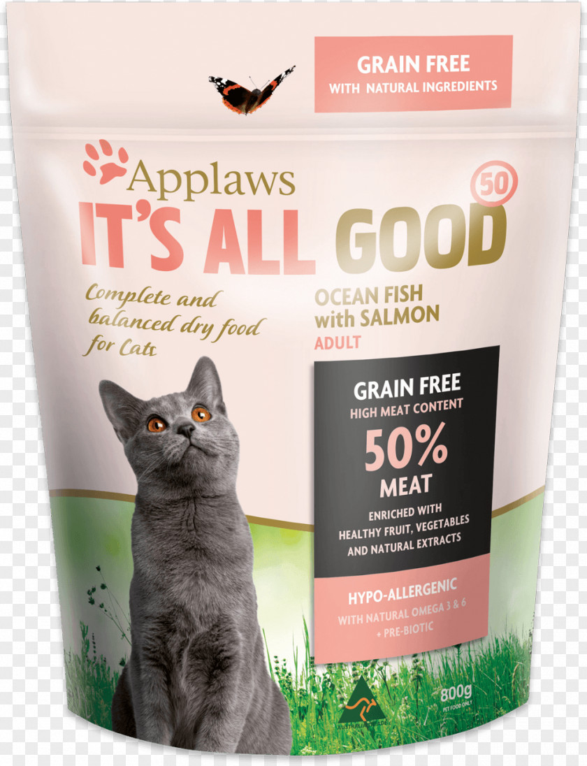 Cat Food Dog Kitten PNG