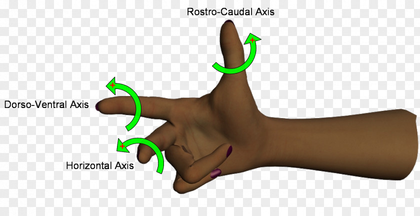 Design Thumb Hand Model Animal PNG