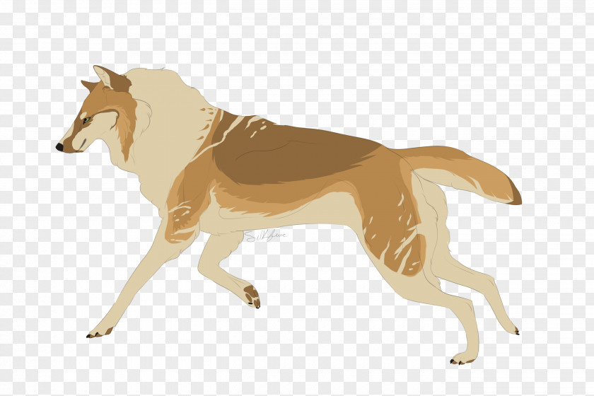 Fur Dog Breed Dingo Canidae Mammal PNG