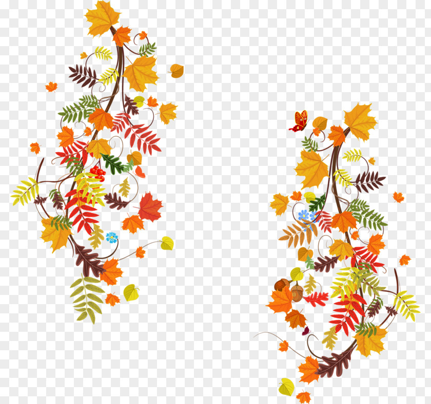 Leaf Autumn Color Floral Design PNG