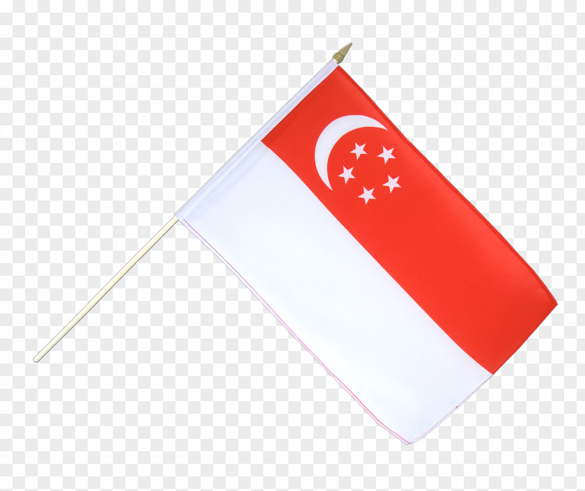 SINGAPORE Flag Of Singapore Fahne National PNG